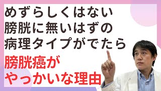 珍しくない膀胱癌の特殊な病理タイプ。膀胱癌が厄介な理由 [upl. by Hassi]