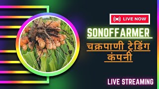 Sonoffarmer chakrapani trading company is live live turmeric haldi sonoffarmer [upl. by Annovoj]