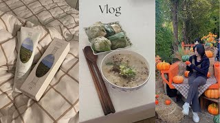 vlog🎃  가을 나들이 칸디데 미백치약 후기 데님맛집 어나브릭 스커트로 4가지 코디 feat 겨울 옷정리  대학생 브이로그 [upl. by Nawtna170]