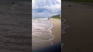 🌊Alleppey beach stay🏖😍Video ll post soon🙏subscribe shorts shortsfeed shortvideo beach alleppey [upl. by Davilman]