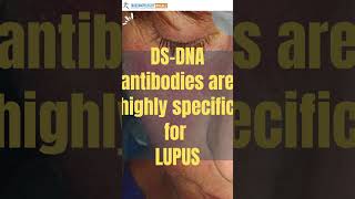 dsDNA test double stranded DNA test  what does it mean [upl. by Aima]