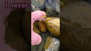 The quesnel hoodoos socool hoodoos woodlake twotone gemstone rock orb lakeside exploremore [upl. by Ytsim]