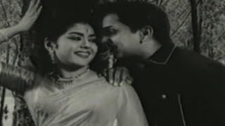 Kula Gothralu Movie Songs  Chelikadu Ninne Rammani Piluvaa Song  ANR Krishna Kumari Krishna [upl. by Biles134]