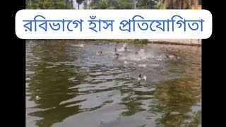 has dhora khela has dhora protijogita হাঁস ধরা প্রতিযোগিতাbengali funny vedio 2024 [upl. by Naneik]