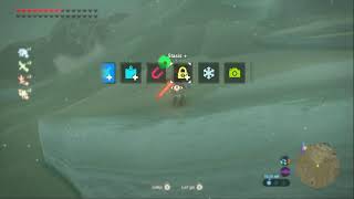 BotW Korok Seed Collection day 2 [upl. by Hailat]