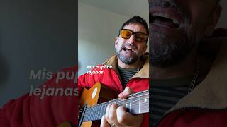 PUPILAS LEJANAS 🇦🇷 Los Pericos argentina musica cover lospericos [upl. by Alfreda]