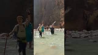 Exploring The Virgin River Zion Narrows travel zionnationalpark water hiking [upl. by Krystyna]