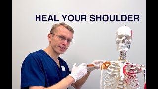 Regenerative Shoulder Treatment [upl. by Alesig7]