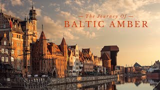 The Journey of Baltic Amber  A Documentary by Gemporia [upl. by Seraphim]