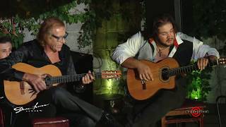 Gypsy Joe Vlado and Alex Fox  Guitar Concert  Downhouse Live Jem Session Improvisation  EXCLUSIVE [upl. by Oterol]