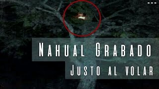 Impactante video de un Nahual Videos Paranormales [upl. by Siraf]