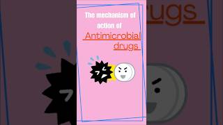 MECHANISM OF ACTION OF ANTIMICROBIAL DRUGS [upl. by Banna945]