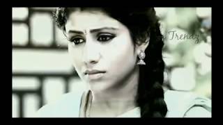 raja rani serial promo 28th aug to 1 sept [upl. by Assenna]