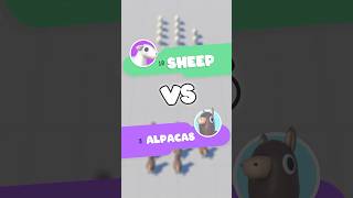 10 🐑 Sheep vs 8 🦙 alpacas  Battle Sim [upl. by Jarlen]