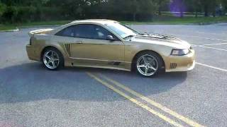 gold saleen 278 [upl. by Reffotsirk]