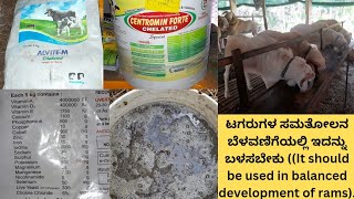 ಹಿಂಡಿಯಲ್ಲಿ ಯಾಕೆ ಮಿನರಲ್ ಮಿಕ್ಸರ್ ಮಿಕ್ಸ್ ಮಾಡಬೇಕುWhy mineral mixer mix in concentration food [upl. by Leidba]