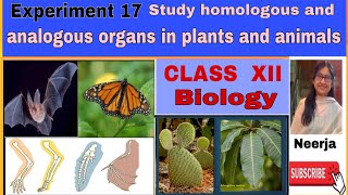 Study of Homologous and Analogous organs In plants and animals Expt 17Class 12 BiologyNeerja [upl. by Vernita]