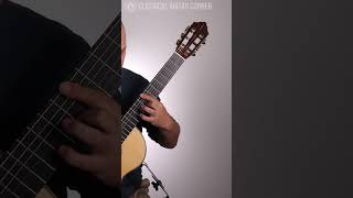 Classical vs Acoustic Guitars [upl. by Alludba850]