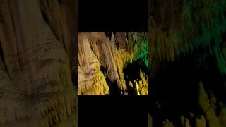 Stalagmites amp Stalactites at Florida Caverns State Park cave shorts [upl. by Nikki]