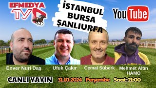 01112024 Cuma Bursa Şanlıurfa ve İstanbul At Yarışları Altılı Ganyan Tahminleri [upl. by Lletnom]