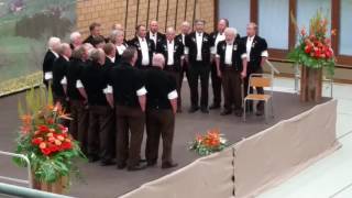 Jodlerklub Wattenwil Jodlerfest Steffisburg 2016 [upl. by Leamiba118]