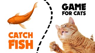 CAT GAMES ★ catching FISH 1 hour [upl. by Edas]