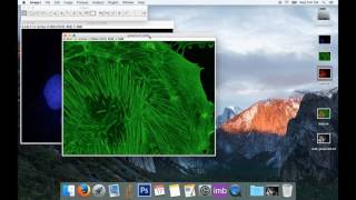 Tute2 Basic Image Processing for Colour Images in ImageJ [upl. by Walston677]