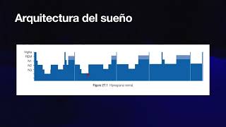 Fisiología del sueño  TECH Universidad Tecnológica [upl. by Nava]