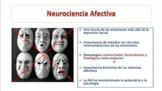 Nuerociencia Afectiva [upl. by Adabelle]