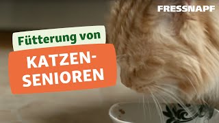 Fütterung Katzensenioren  Die richtige Ernährung [upl. by Ecyned]