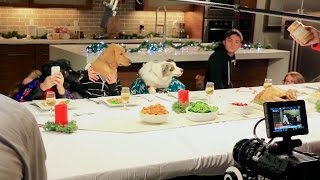 Freshpet Holiday Feast  Behind the Scenes [upl. by Anaul230]