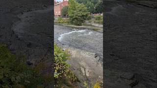 Port Hope Salmon Run Entrance asmr [upl. by Llevaj]