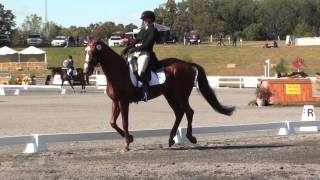 Katie Wherley amp Mr Indiscretion Fair Hill CCI 2 Star October 2015 [upl. by Samala]