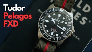 Tudor Pelagos FXD Review The best Pelagos yet [upl. by Harbird]