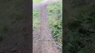 Ballo woods MTB 🙌 Full video on my channel mtb scotland singletrack mountainbikeroutes [upl. by Anurb131]