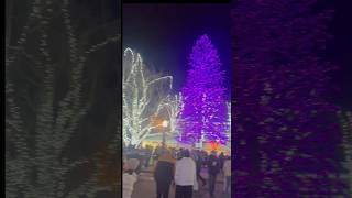 Walking in a winterwonderland in the bavarian christmas town leavenworth🎄pacificnorthwest pnw [upl. by Wilmar]