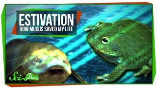 Estivation How Mucus Saved My Life [upl. by Audris81]