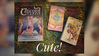 Caticorn Tarot  Walkthrough amp First Impressions [upl. by Rubin726]