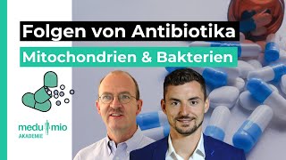 Mitochondrien amp Bakterien Folgen von AntibiotikaTherapie 🔬 Dr rer nat Jens Pohl [upl. by Popelka926]