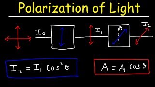 Polarization of light Problems Malus Law  Intensity amp Amplitude  Physics [upl. by Yelserp]