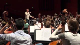 SaintSaens  Symphonie n°3  1er Tutti  OFJ 2014 [upl. by Sanfourd]