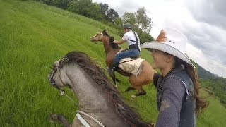 Epic horse galloping with GoPro by KristyM Ranch [upl. by Haorbed29]