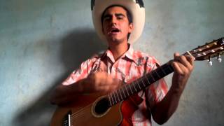 Speedy gonzales en guitarra [upl. by Hgeilhsa]