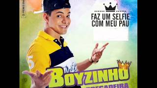 BOYZINHO O REI DA BREGADEIRA CD NOVO 2015  SEM QUERER [upl. by Pember898]