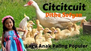 LAGU ANAK CIT CIT CUIT BEBEK BERENANG  DITHA SOFYAN LAGU ANAK TERPOPULER VIRAL 2024 [upl. by Aidne]