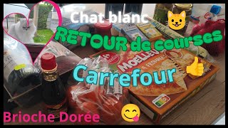 RETOUR DE COURSE 😊 CARREFOUR 😉 Brioche Dorée 😋 Jolie chat blanc 😺 [upl. by Eudora]