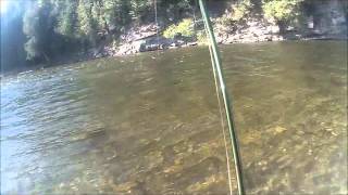 salmon fishing gaspe june 2013 [upl. by Eriam]