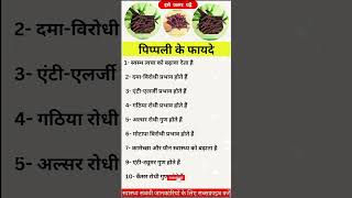 पीपली के फायदे  pipli ke fayde  benefits of long pepper [upl. by Ellednek]