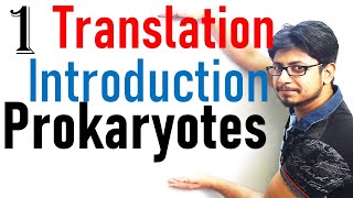 Translation in prokaryotes introduction  prokaryotic translation lecture 1 [upl. by Dnama]