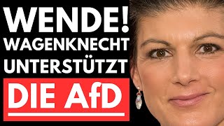 💥AfD VERBOT AM ENDE WAGENKNECHT VERRÄT ALTPARTEIEN – AfD TRIUMPHIERT💥 [upl. by Aihcrop674]